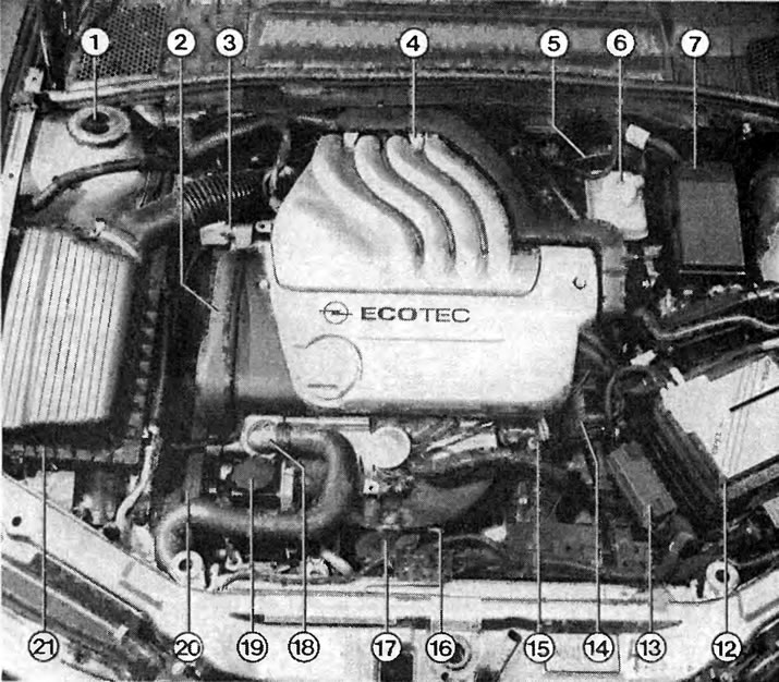 Вид двигательного отсека с шестнадцатиклапанным двигателем 1,6 литра ...