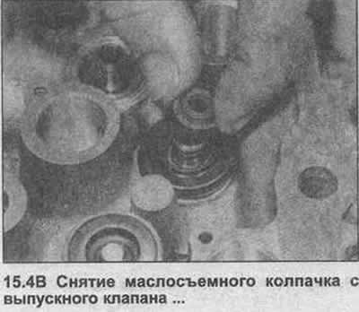 4. Lift the valve stem seals off the valve guides, then remove the exhaust valve rotators (photo).