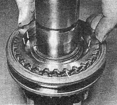 Фотография 19.9.