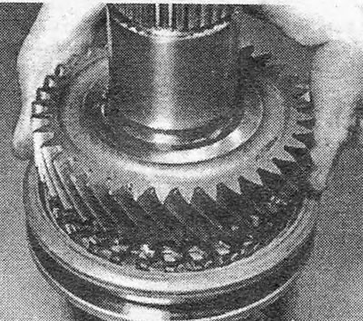 Фотография 19.11.