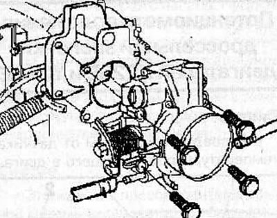 Remove the bolts and throttle assembly from the expansion chamber.
