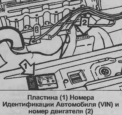 A motorszám egy vízszintes csíkra van bélyegezve, amely a hengerblokkon, a kipufogócsatorna oldalán…