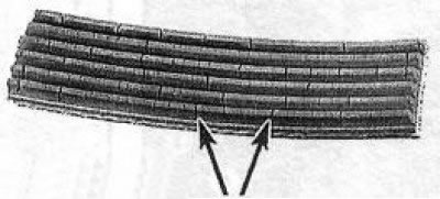 Мелкие поперечные трещины с оснащенной ребрами стороны ремня