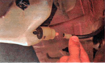 5. Disconnect the rear window washer hose from the pump.